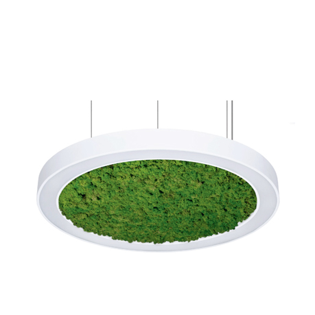 Acoustic Luminaires Image